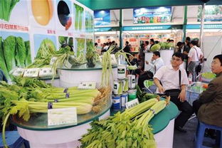 食品安全 國(guó)人最擔(dān)憂的健康隱患